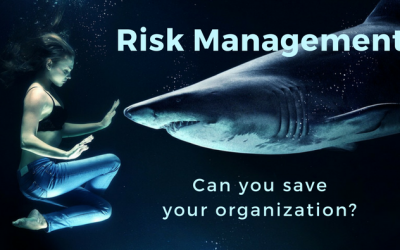 Risk Management:  Can You Save Your Organization?